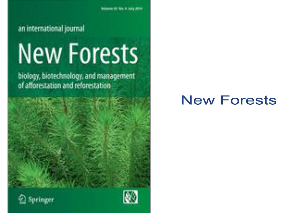 New Forests Article Editing