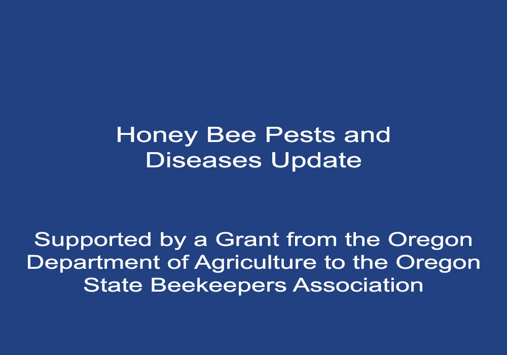 Honey Bee Pest and Disease Update